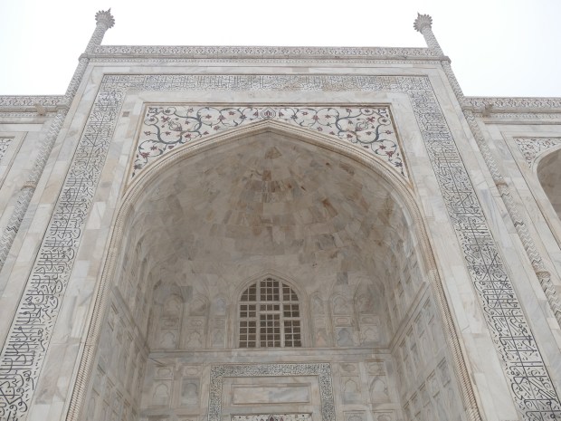 AGRA P1110480