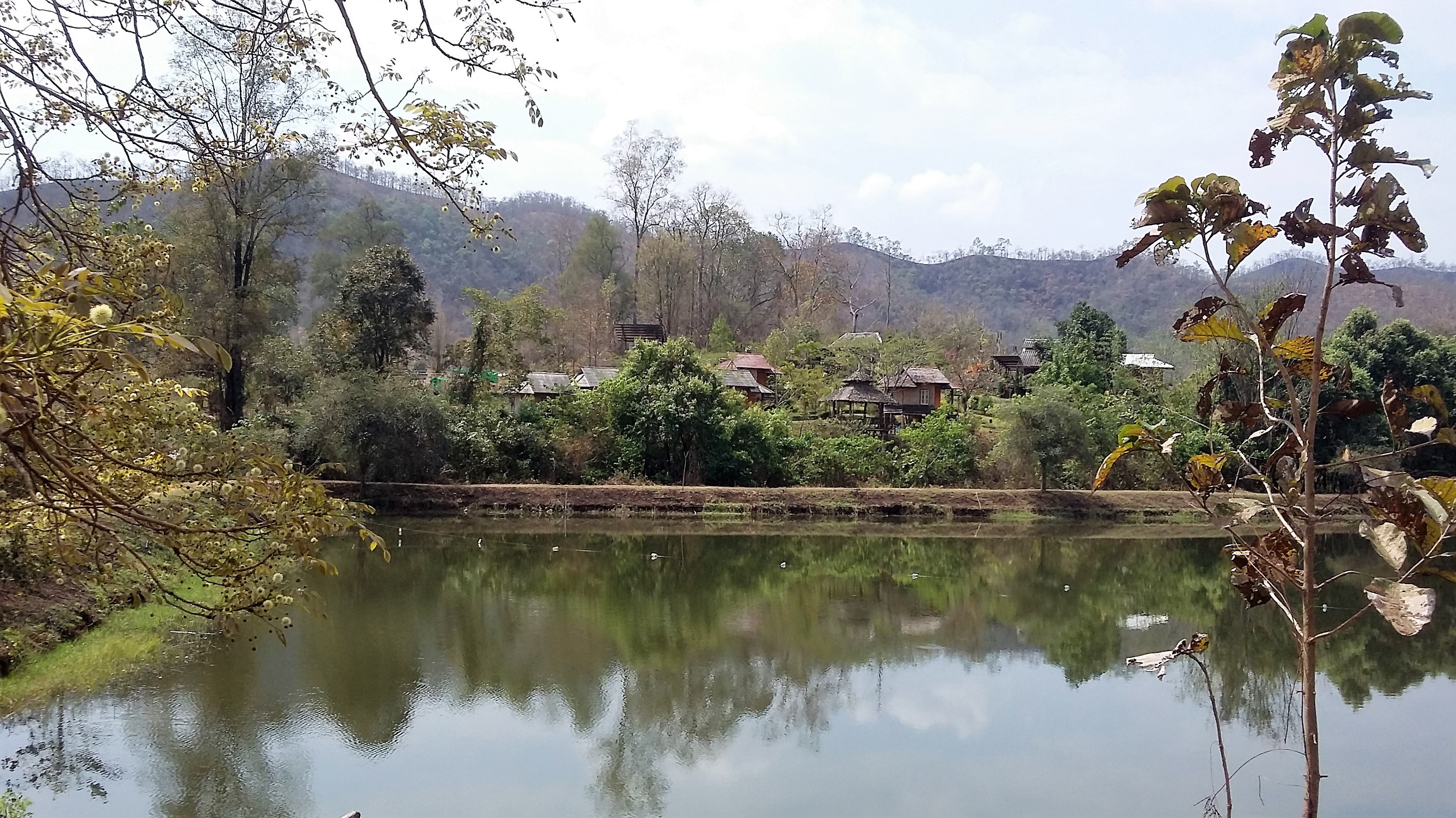 LOOP 20160229_115019