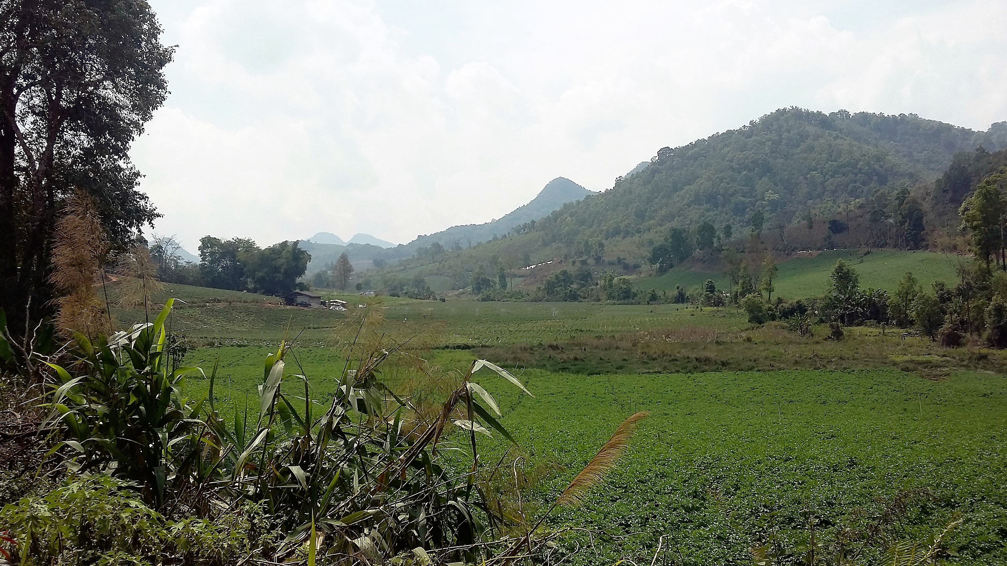 LOOP 20160303_120336