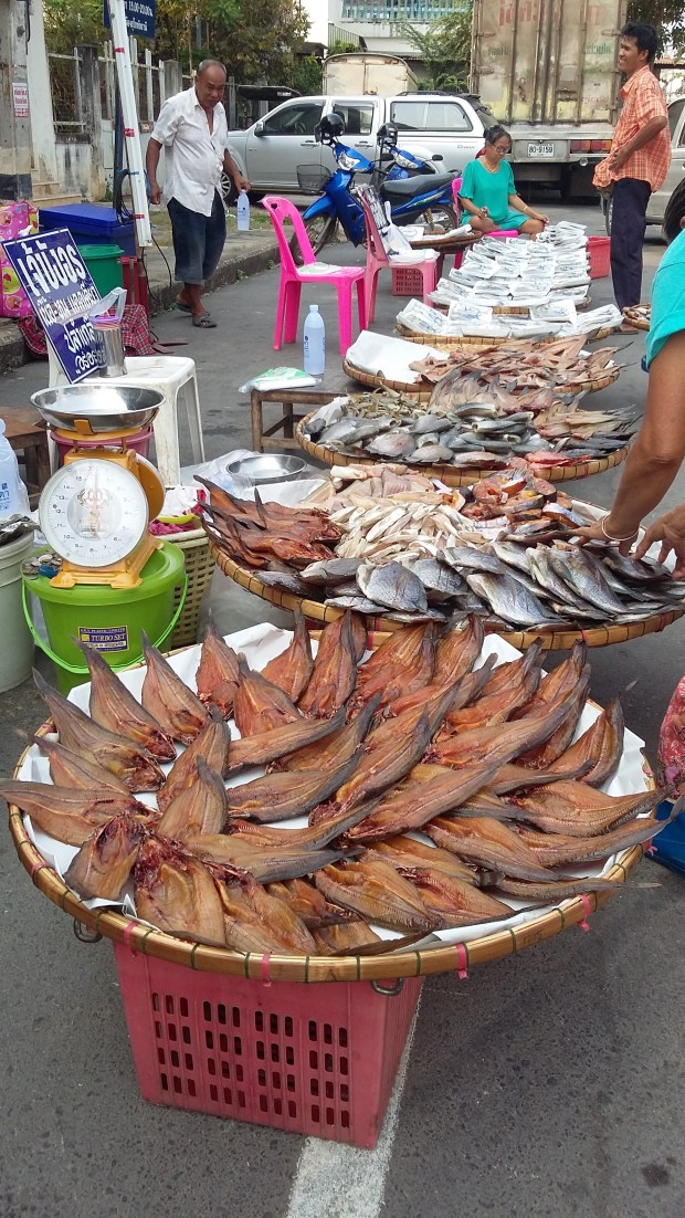 SUKO 20160224_152529