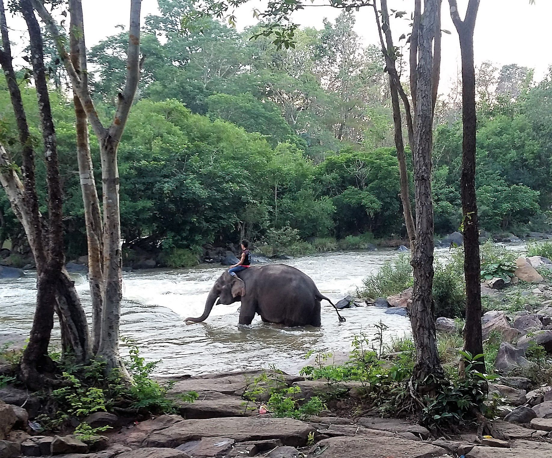 20160511_170241 (2)komp