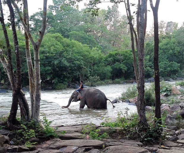 20160511_170241 (2)komp