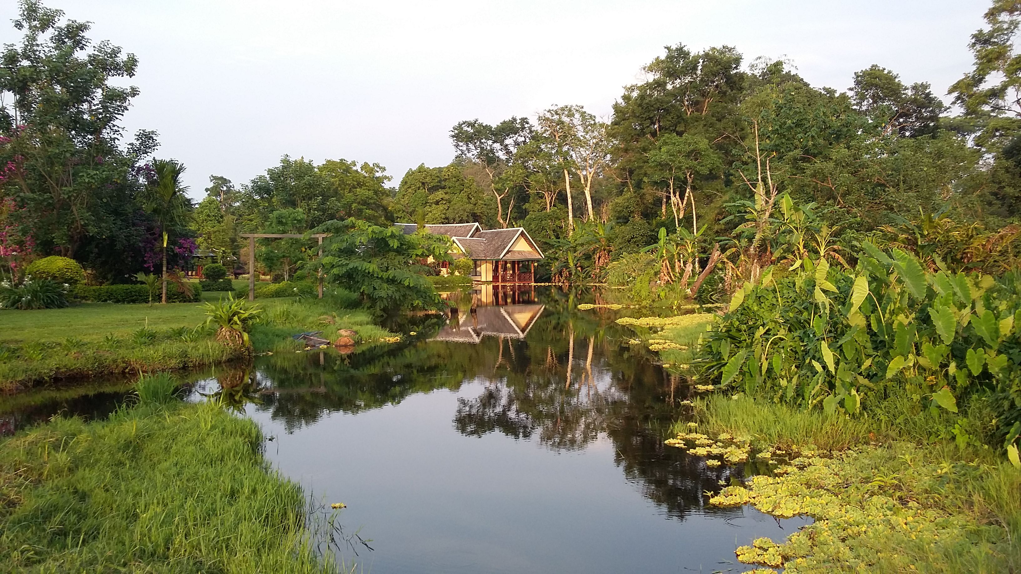 p20160512_171706komp