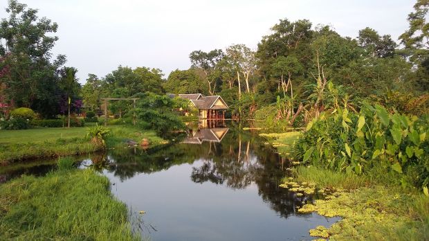 p20160512_171706komp