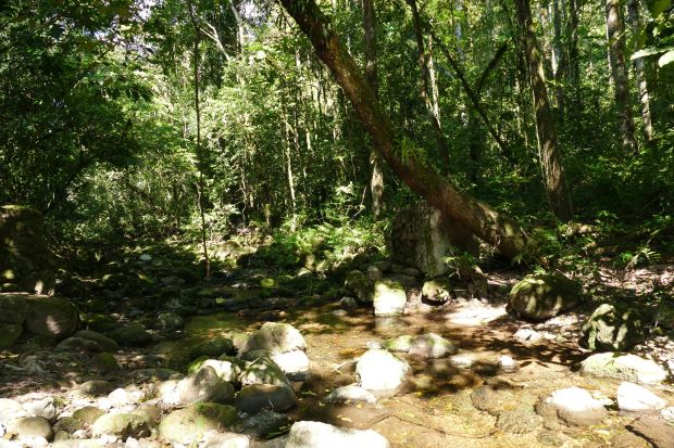 P1230994santa cruz komp