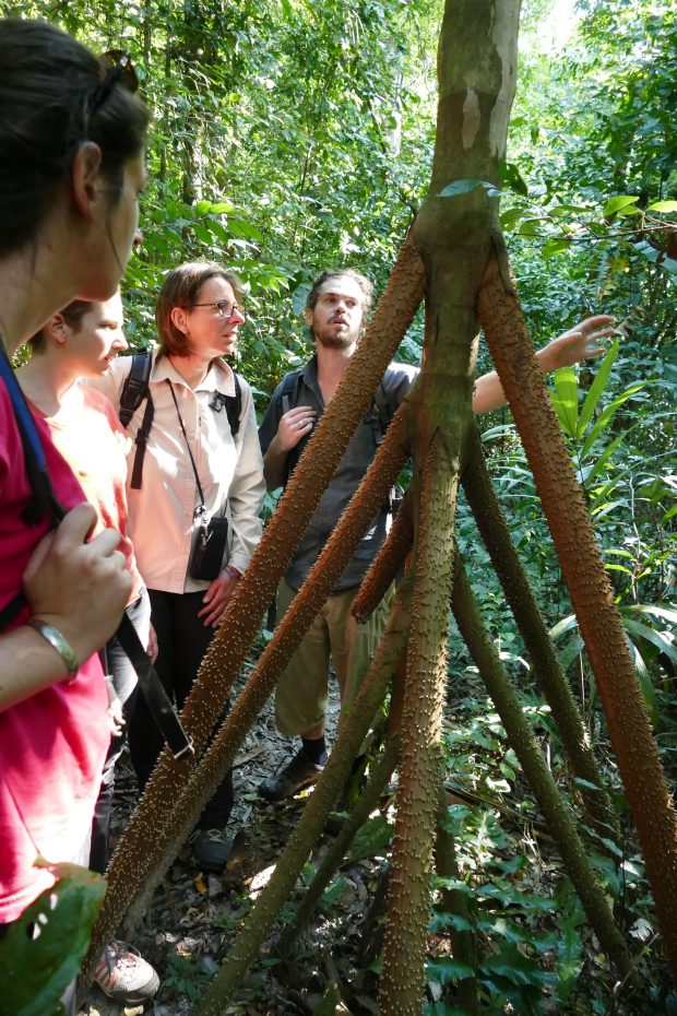 P1240156santa cruz komp