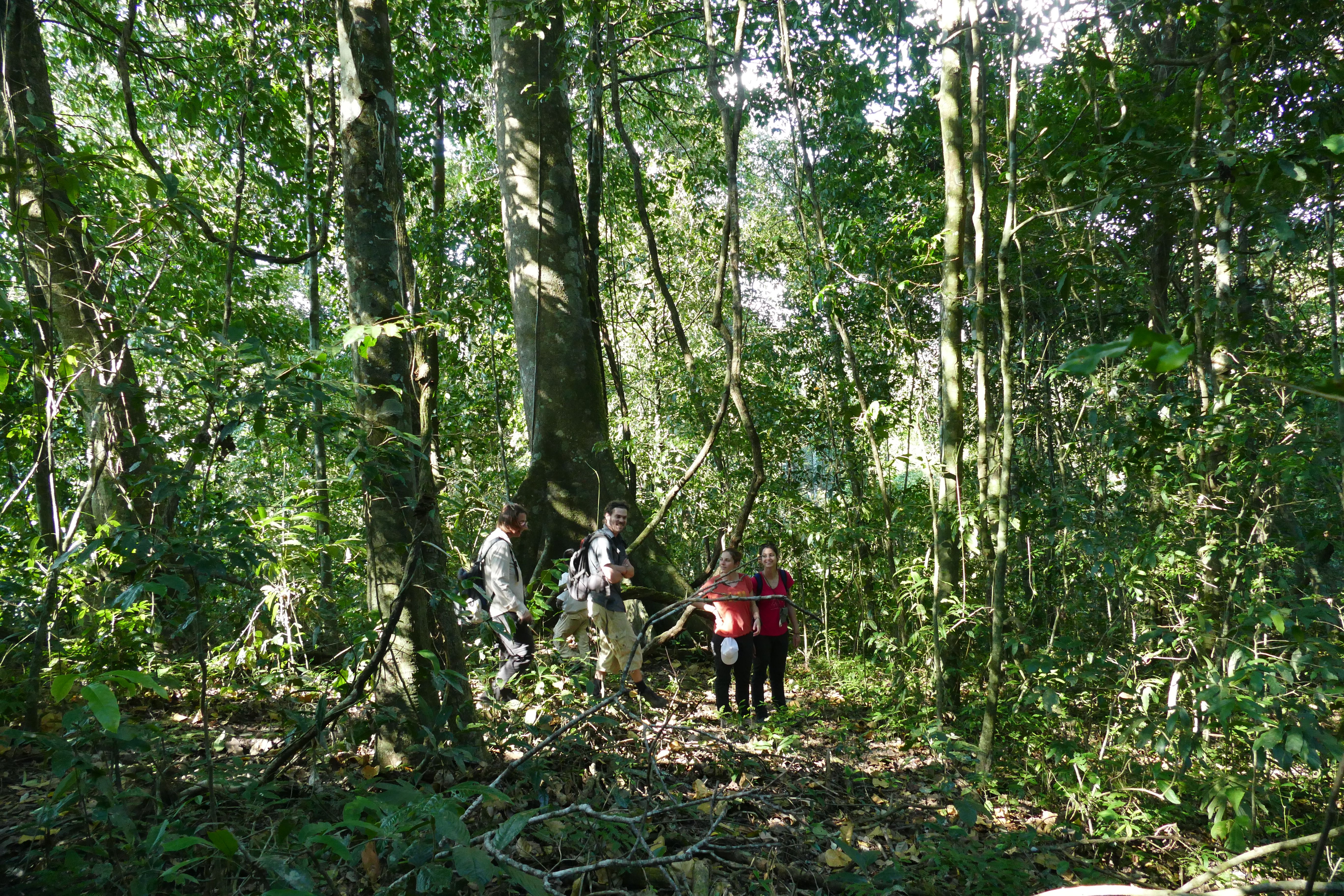 P1240159santa cruz komp