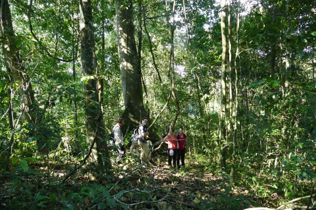 P1240159santa cruz komp