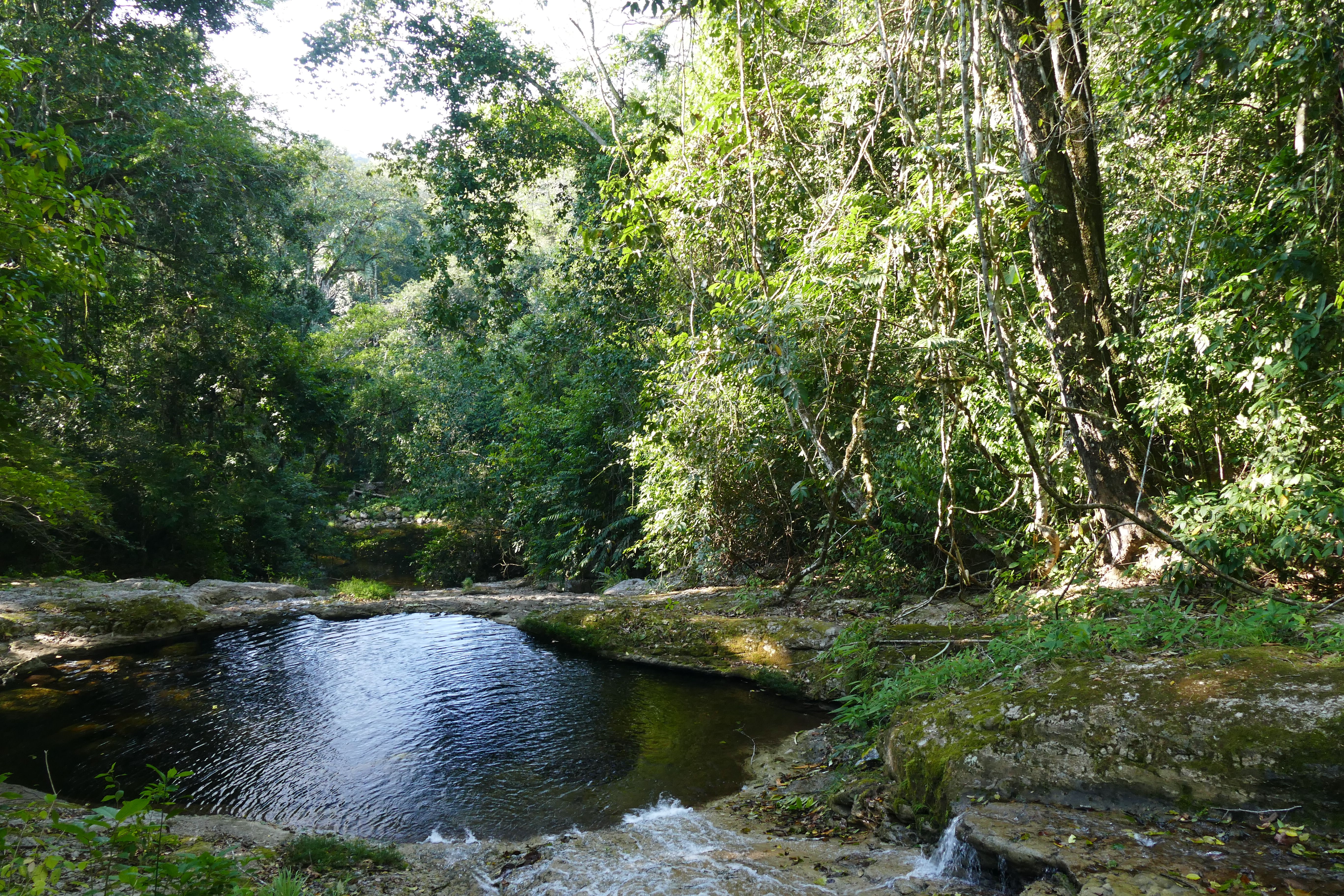 P1240325santa cruz komp