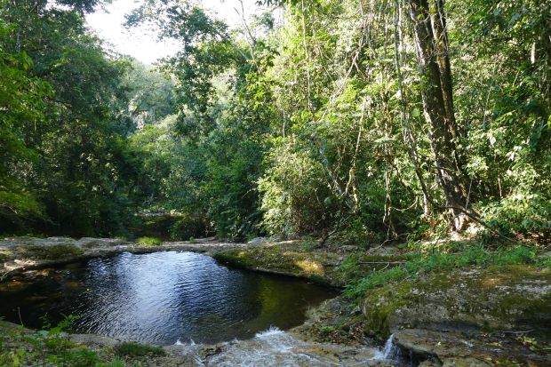 P1240325santa cruz komp