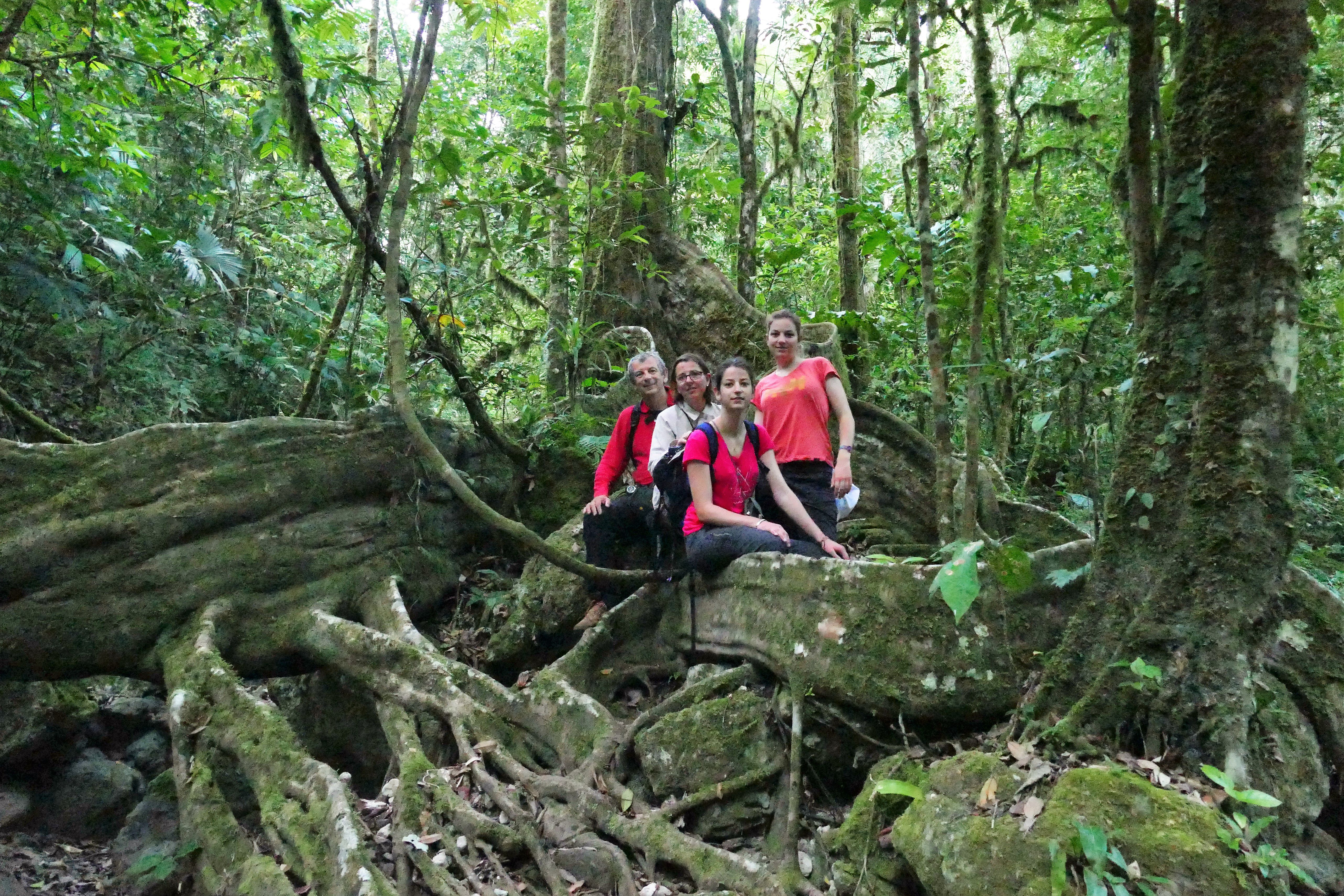 P1240453santa cruz komp