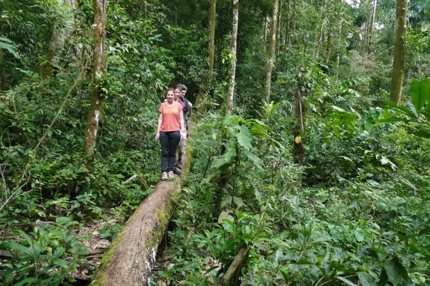 P1240467santa cruz komp