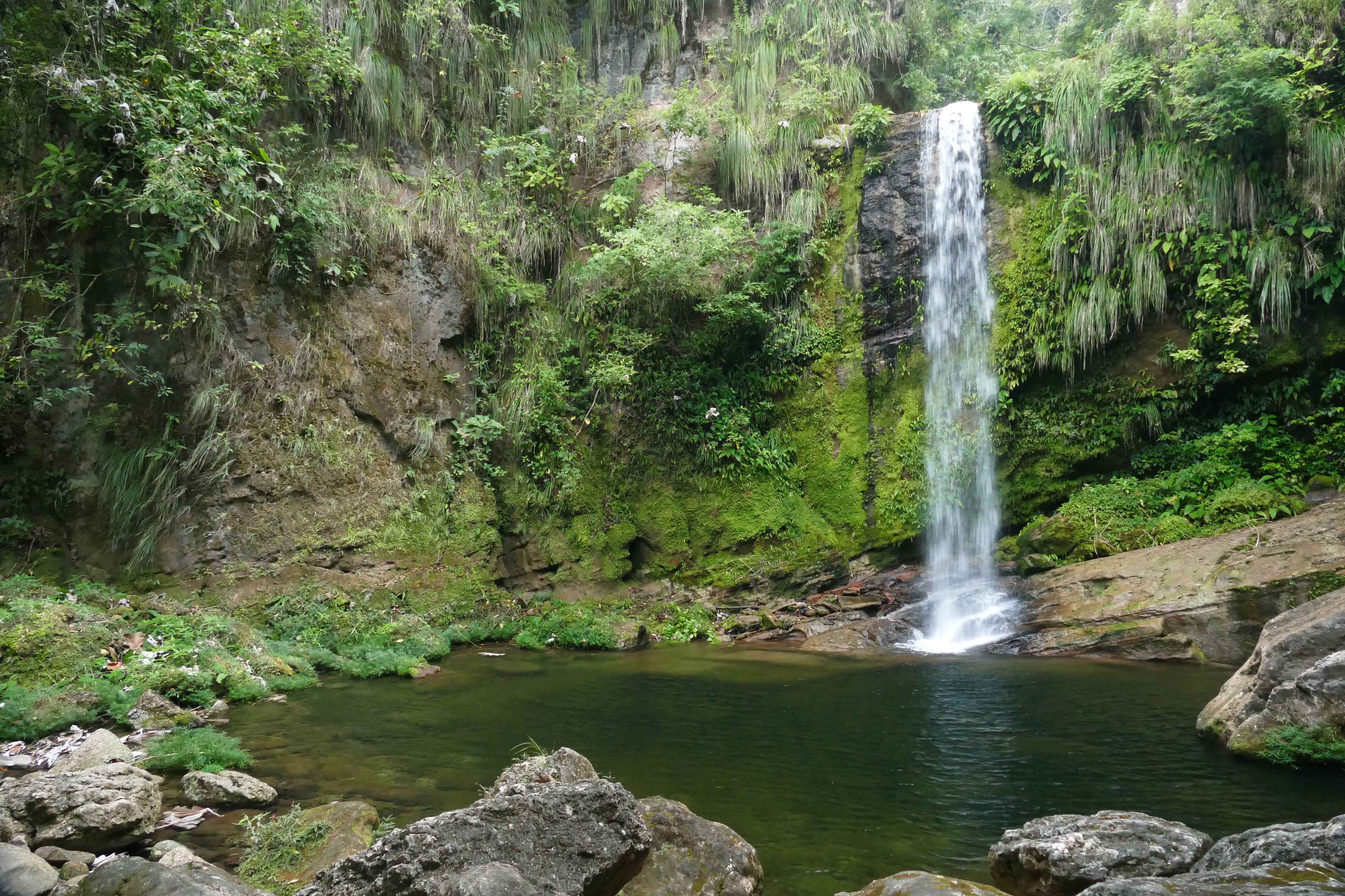 P1240469santa cruz komp