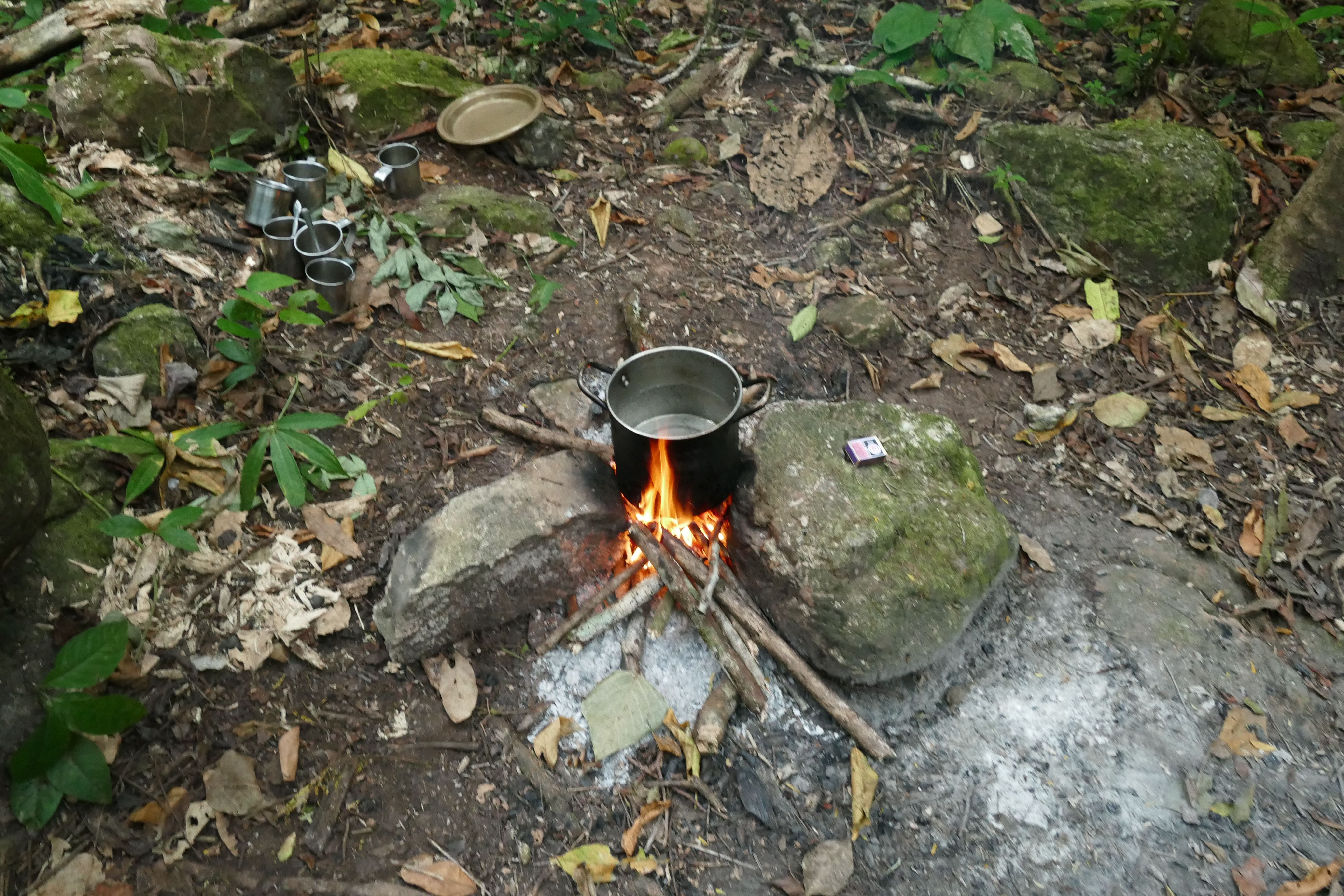 P1240475santa cruz komp