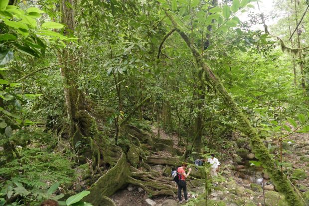 P1240536santa cruz komp