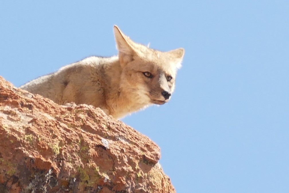 P1250475 (2)uyuni komp
