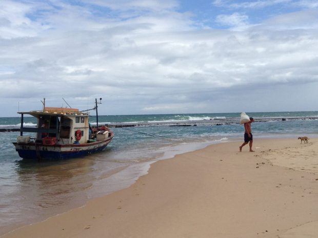 img_4729-arembepe_comp