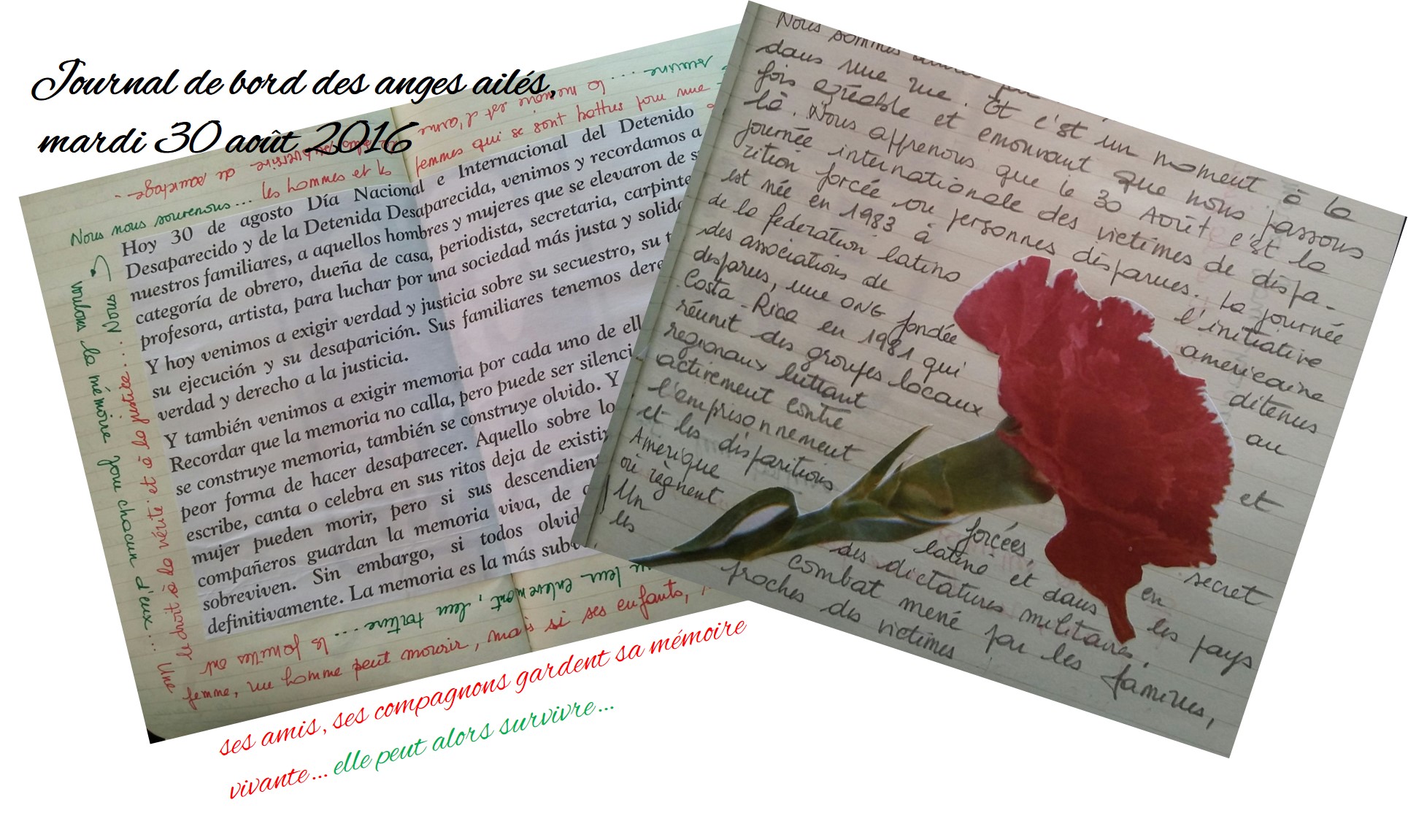 journal-de-bord4-png