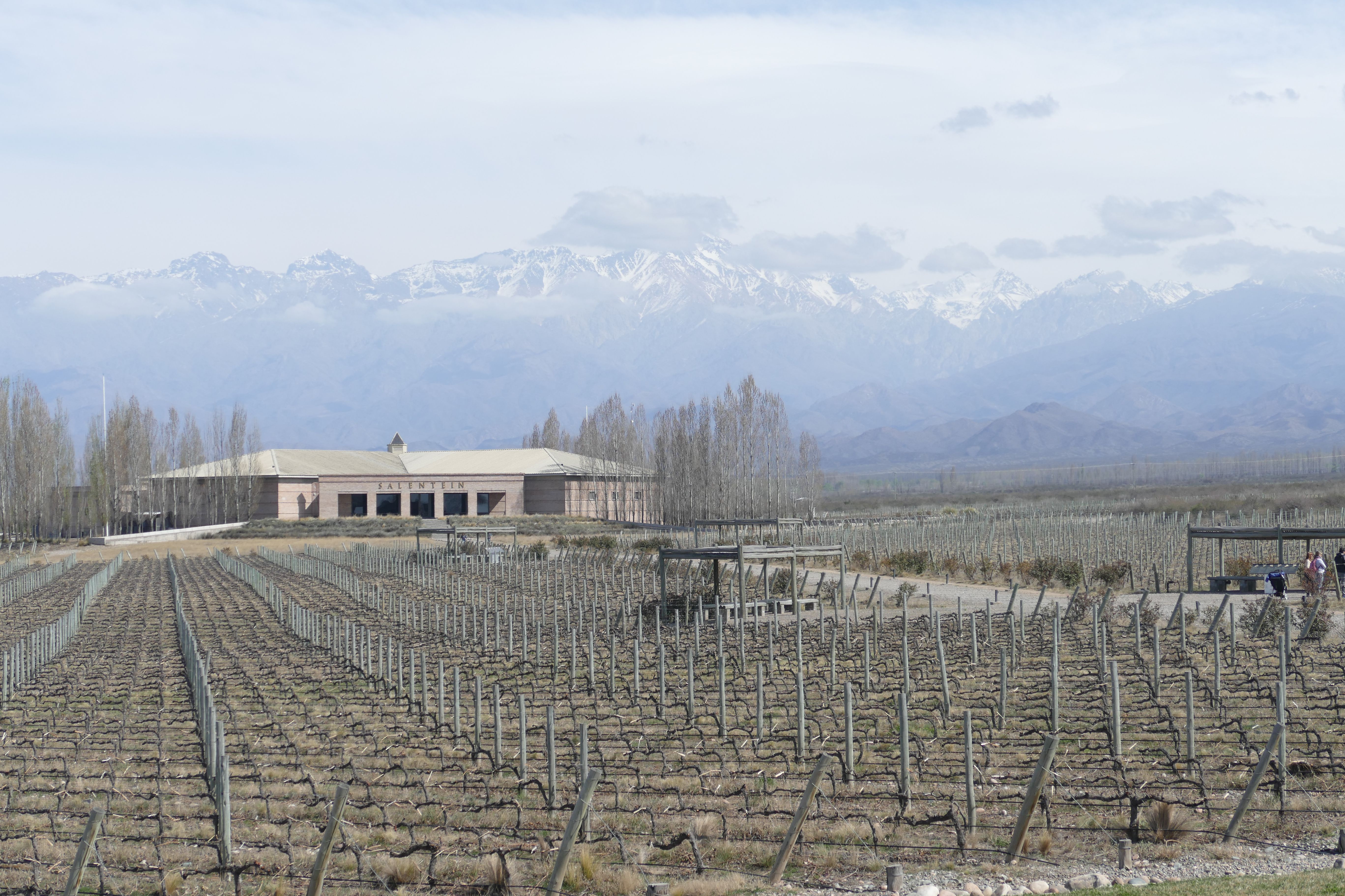 p1260869-mendoza_komp