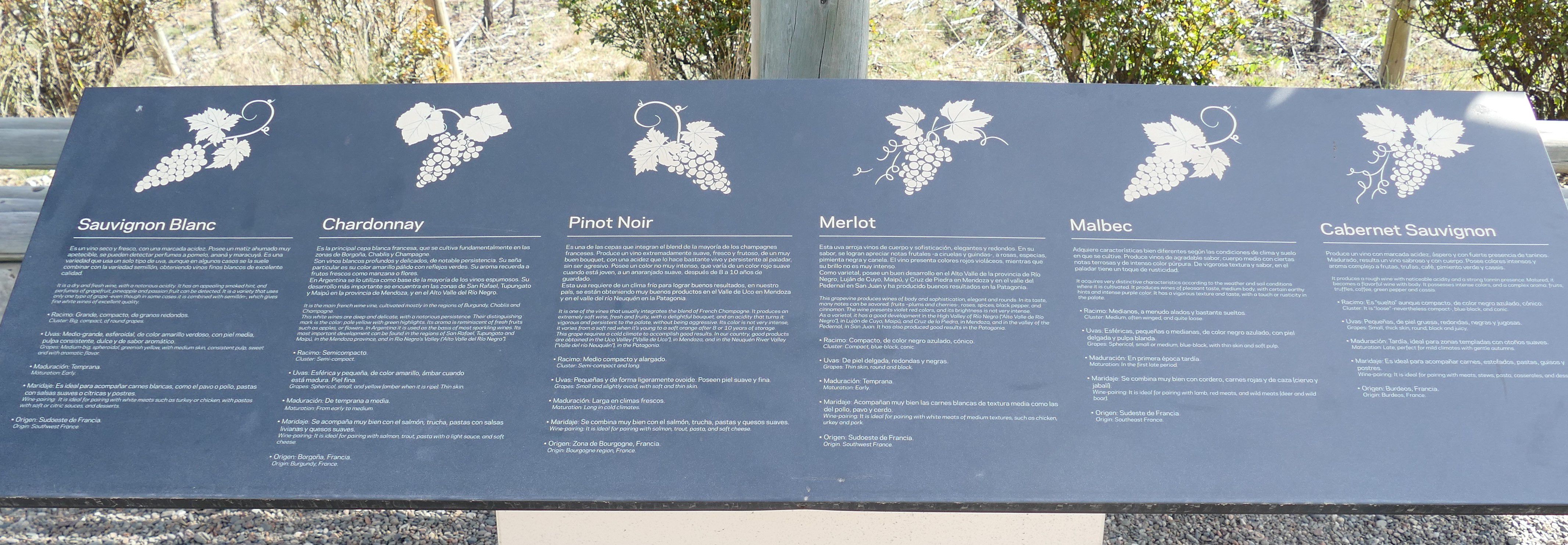 p1260876-2-mendoza_komp