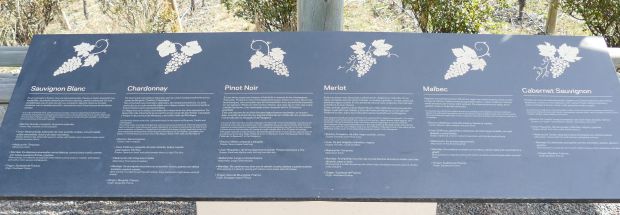 p1260876-2-mendoza_komp