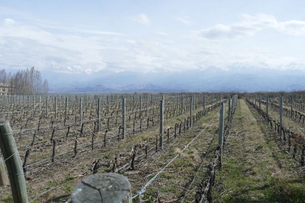 p1260877-mendoza_komp