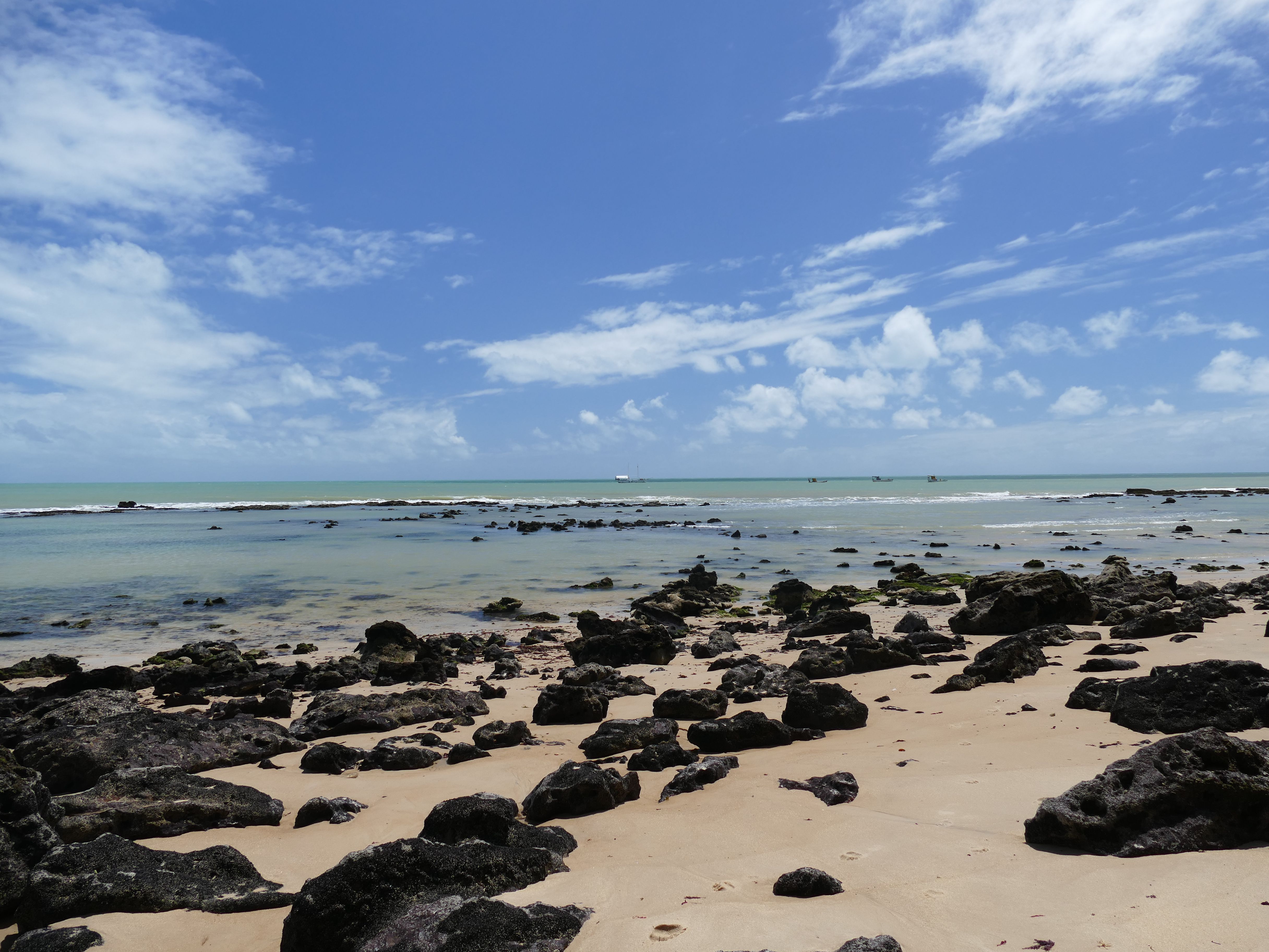 p1280038-olinda_comp