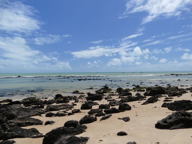 p1280038-olinda_comp