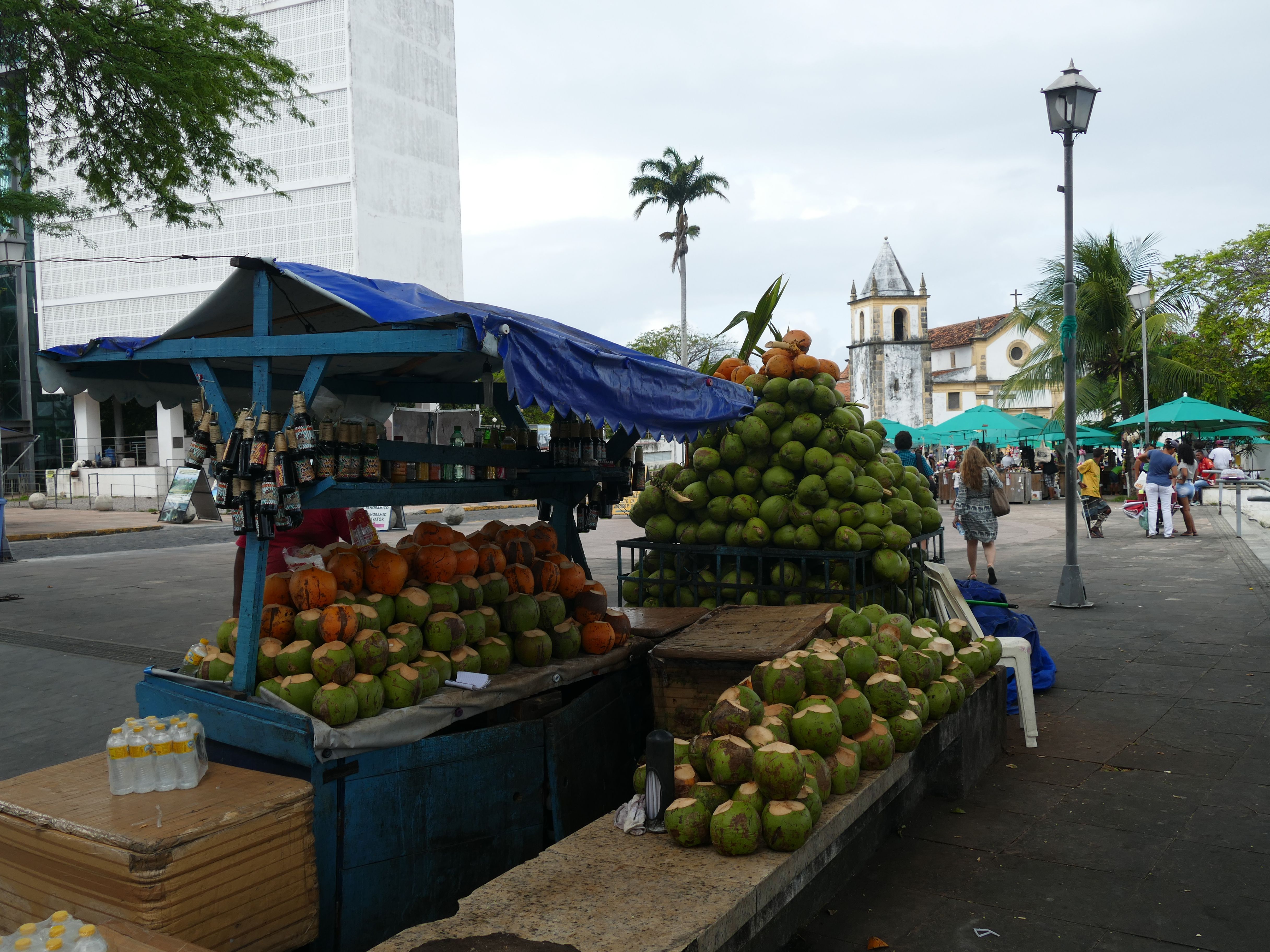 p1280131-olinda_comp