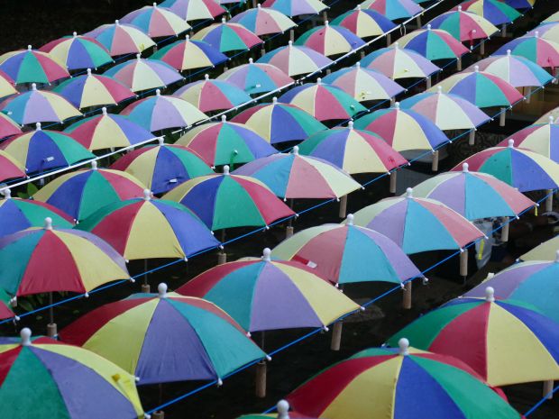 p1280135-olinda_comp