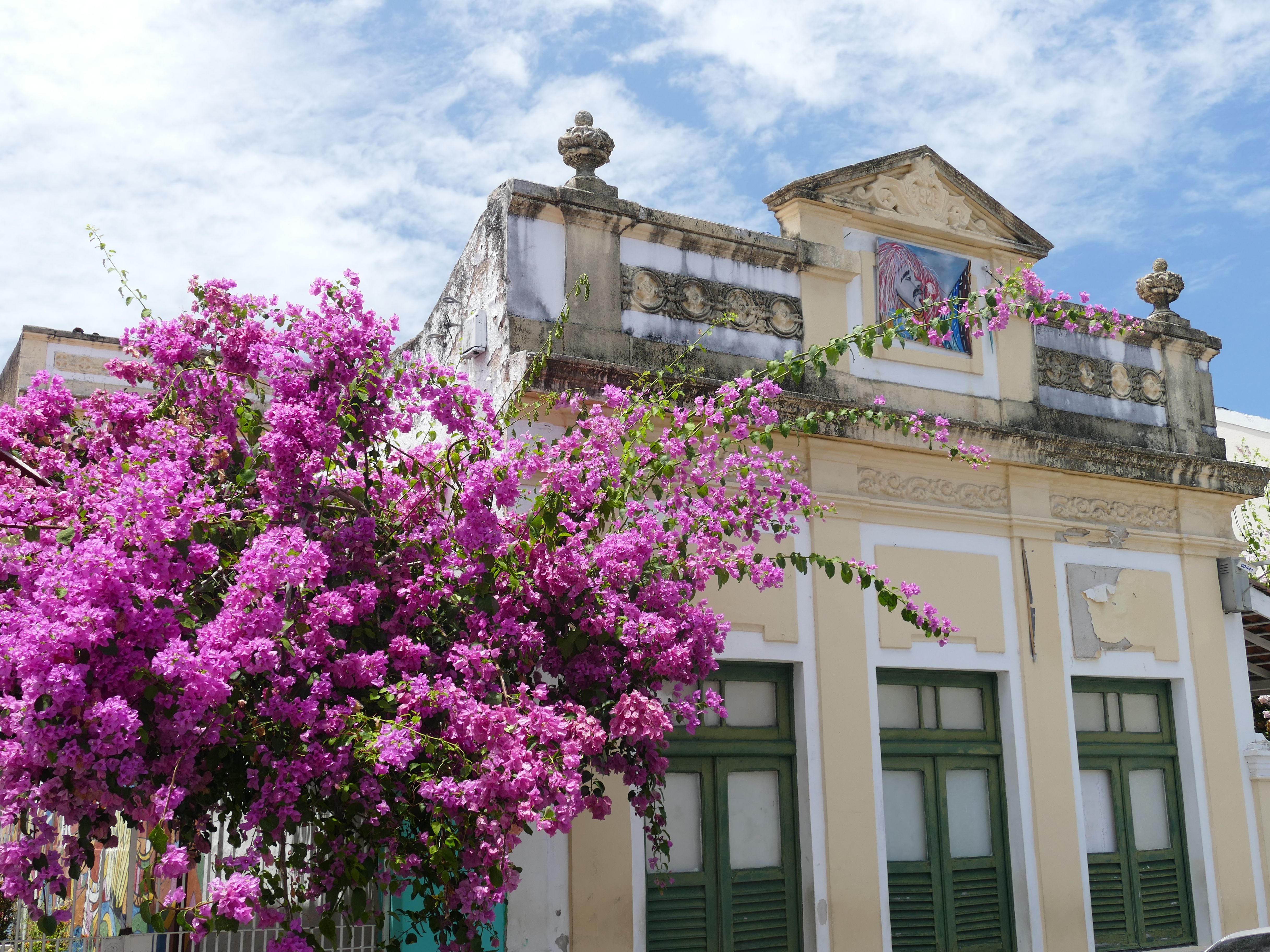 p1280213-olinda_comp