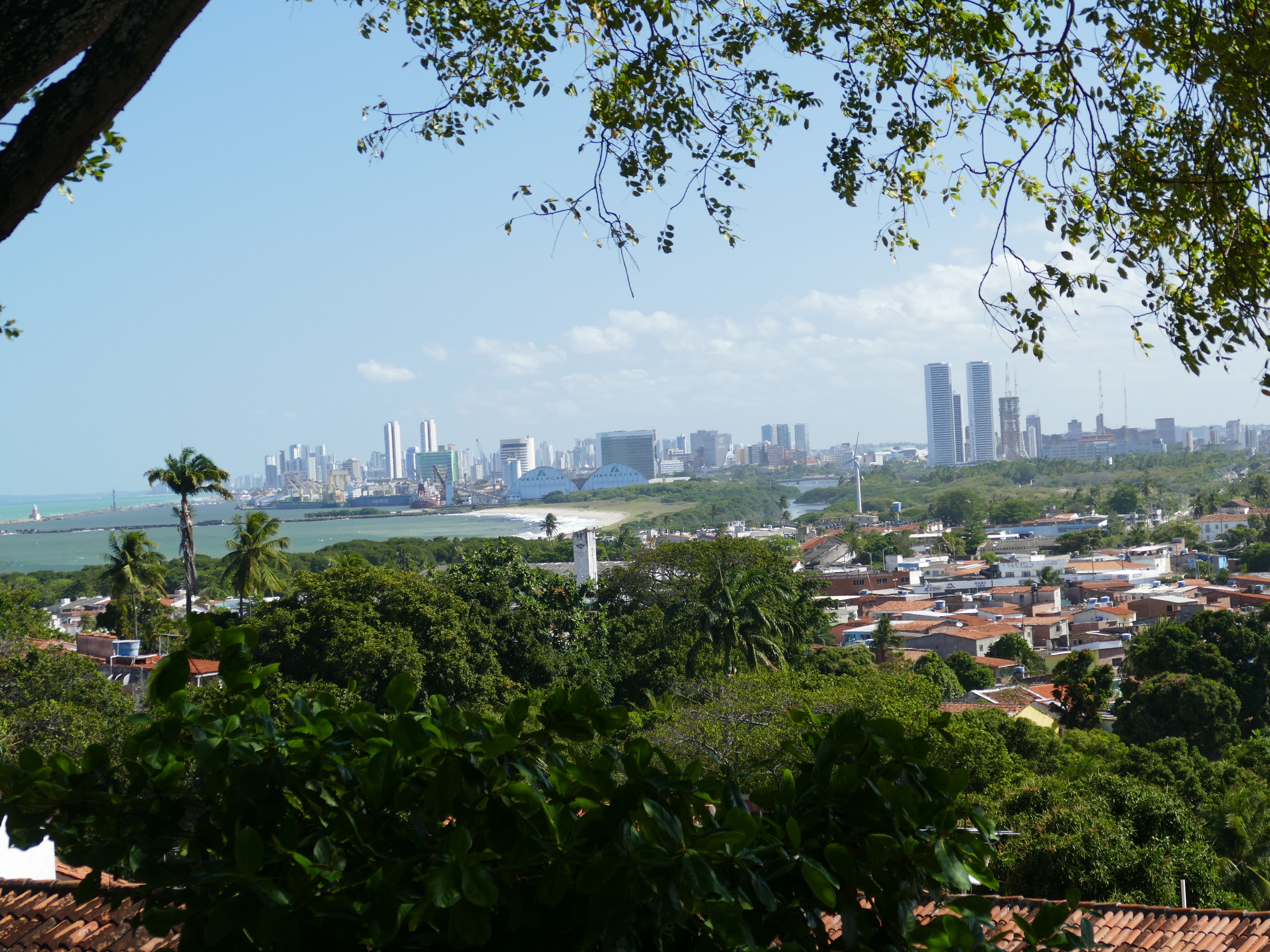 p1280301-olinda_comp