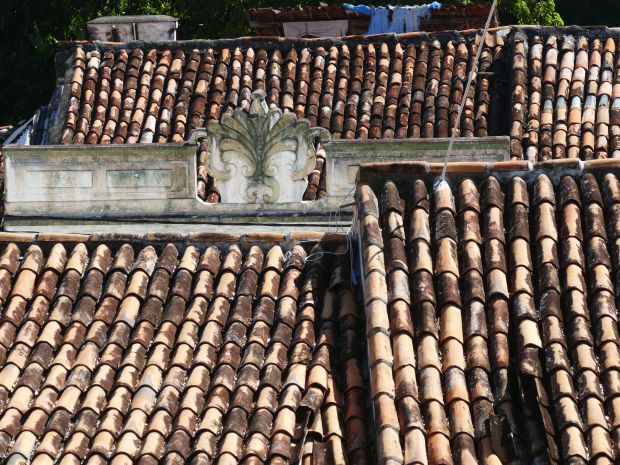 p1280302-olinda_comp