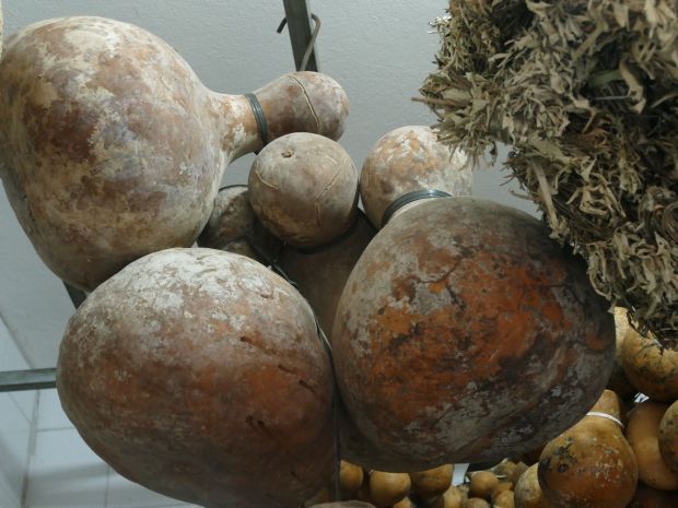 p1280517-salvador_comp