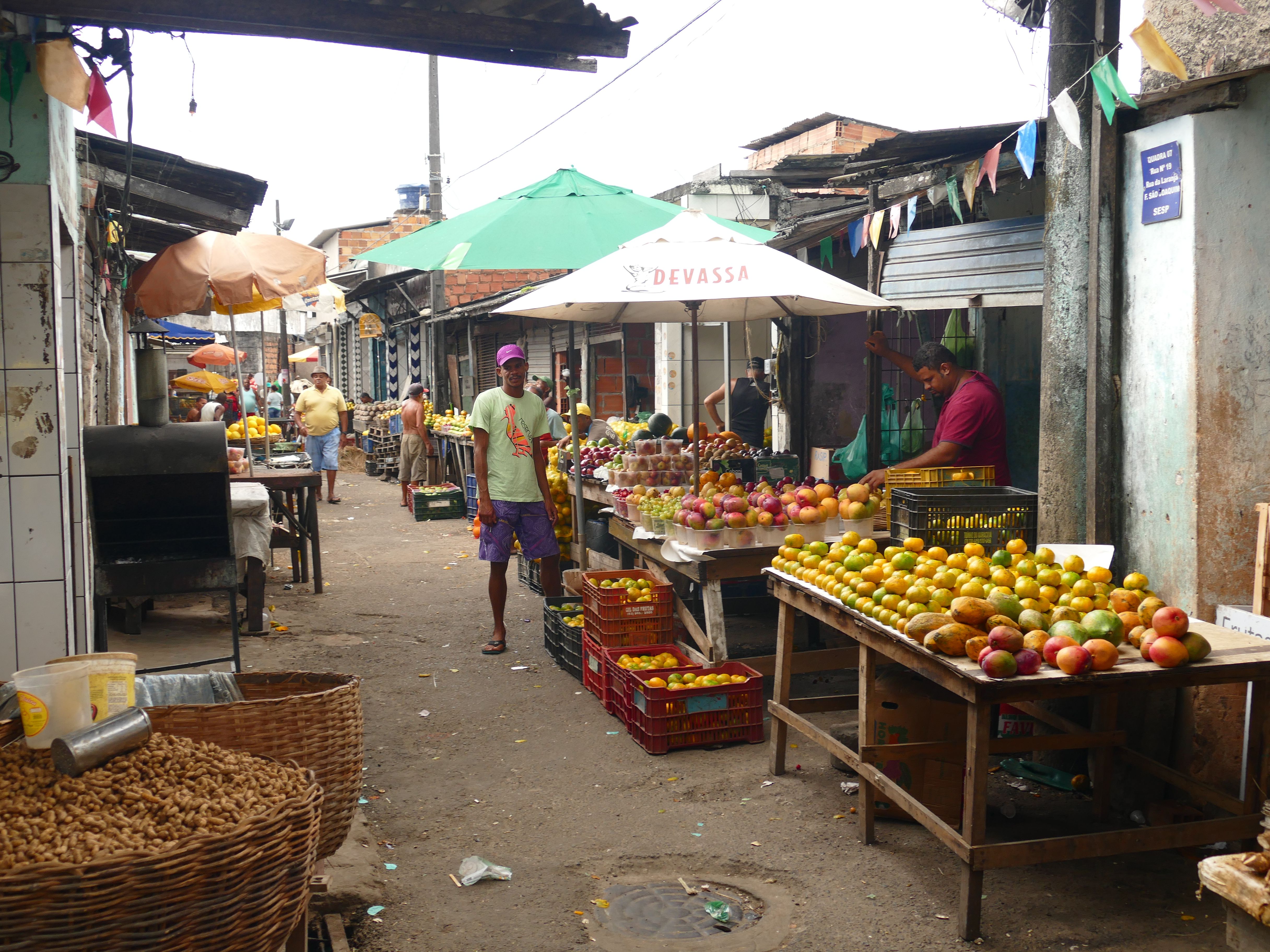 p1280545-salvador_comp