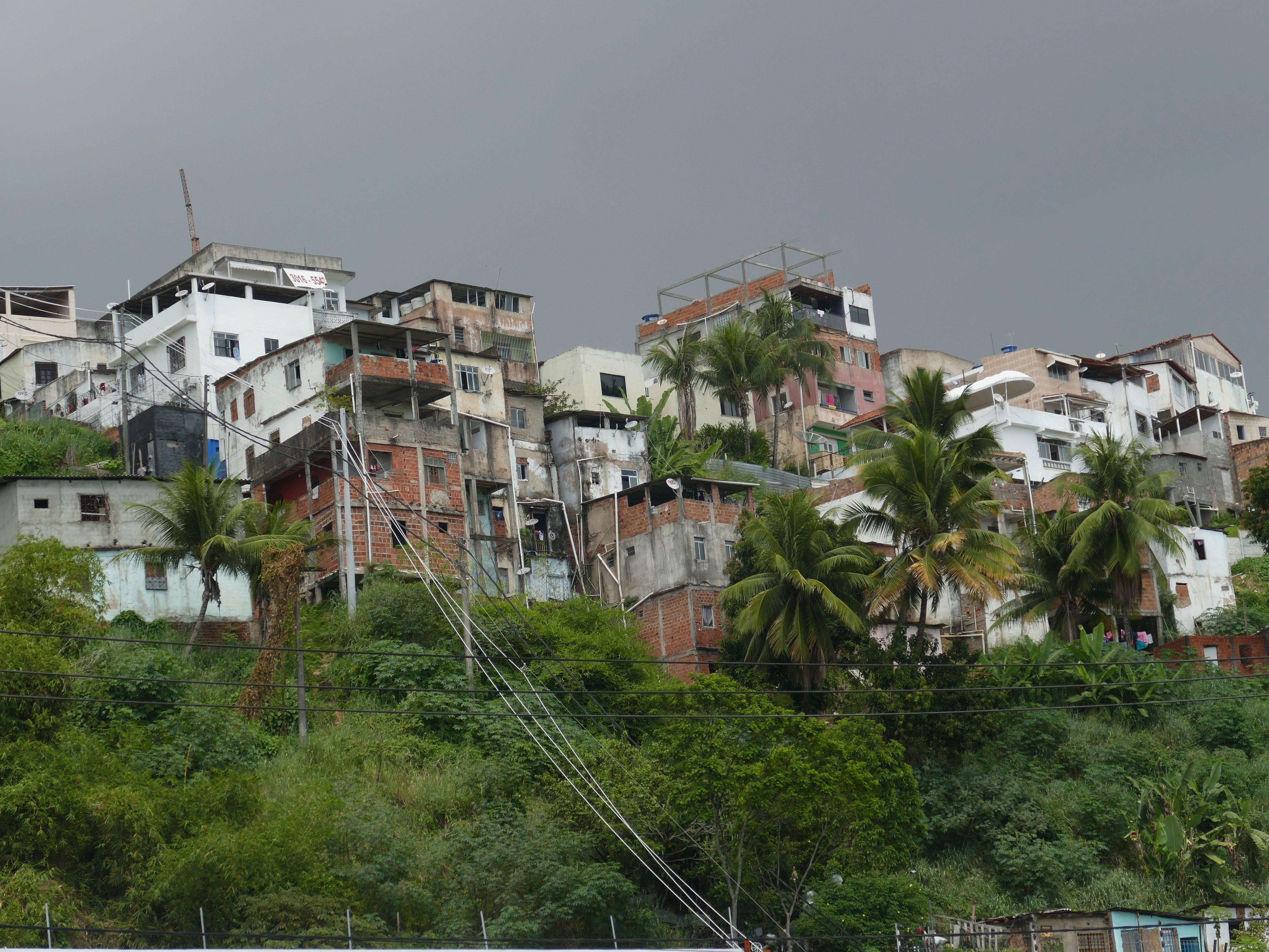 p1280565-salvador_comp