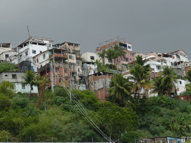 p1280565-salvador_comp