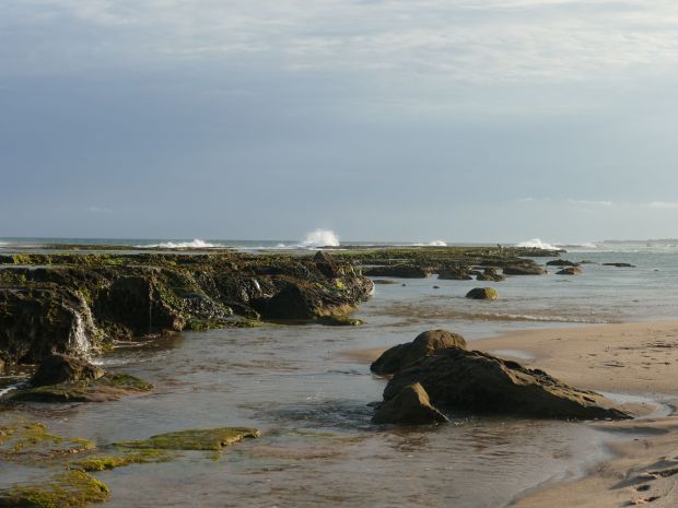 p1280635-arembepe_comp