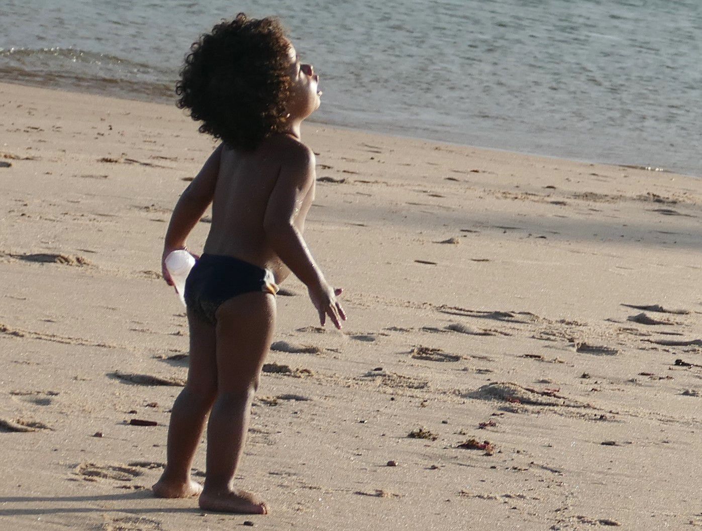 p1280636-2-arembepe_comp