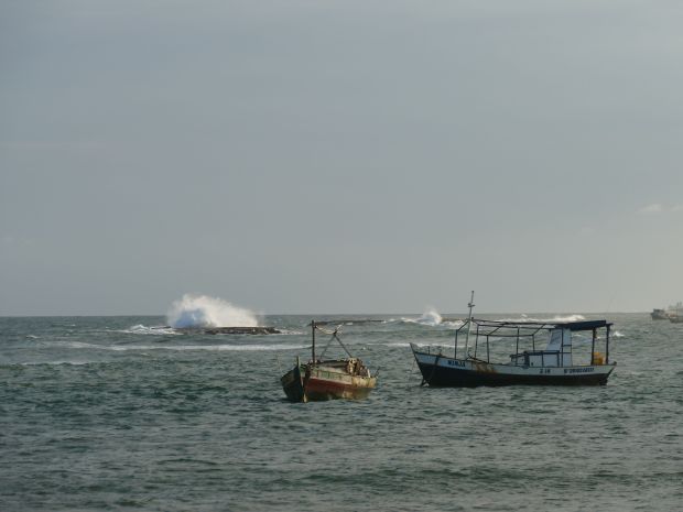 p1280638-arembepe_comp