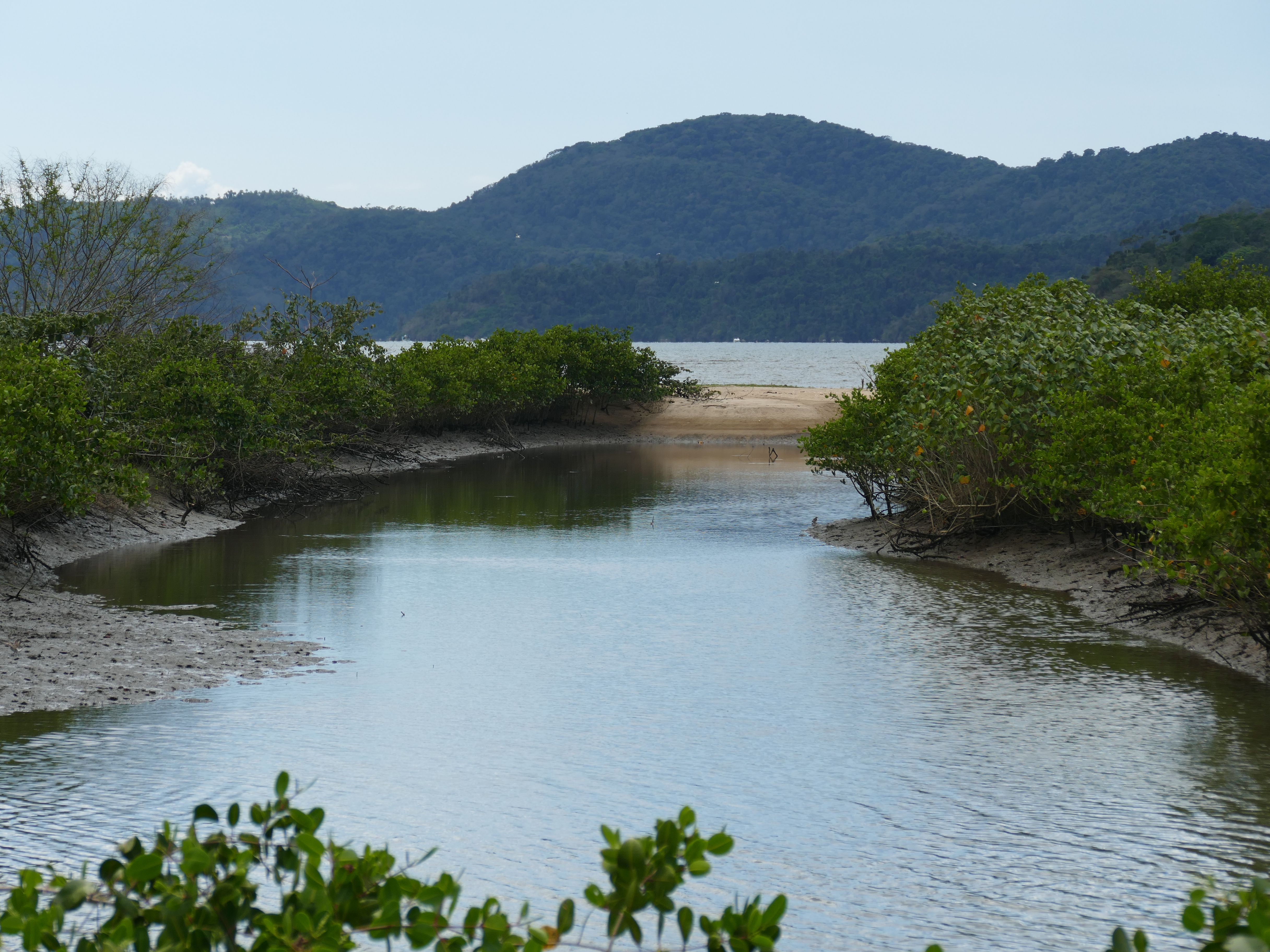 p1280866-parati_comp