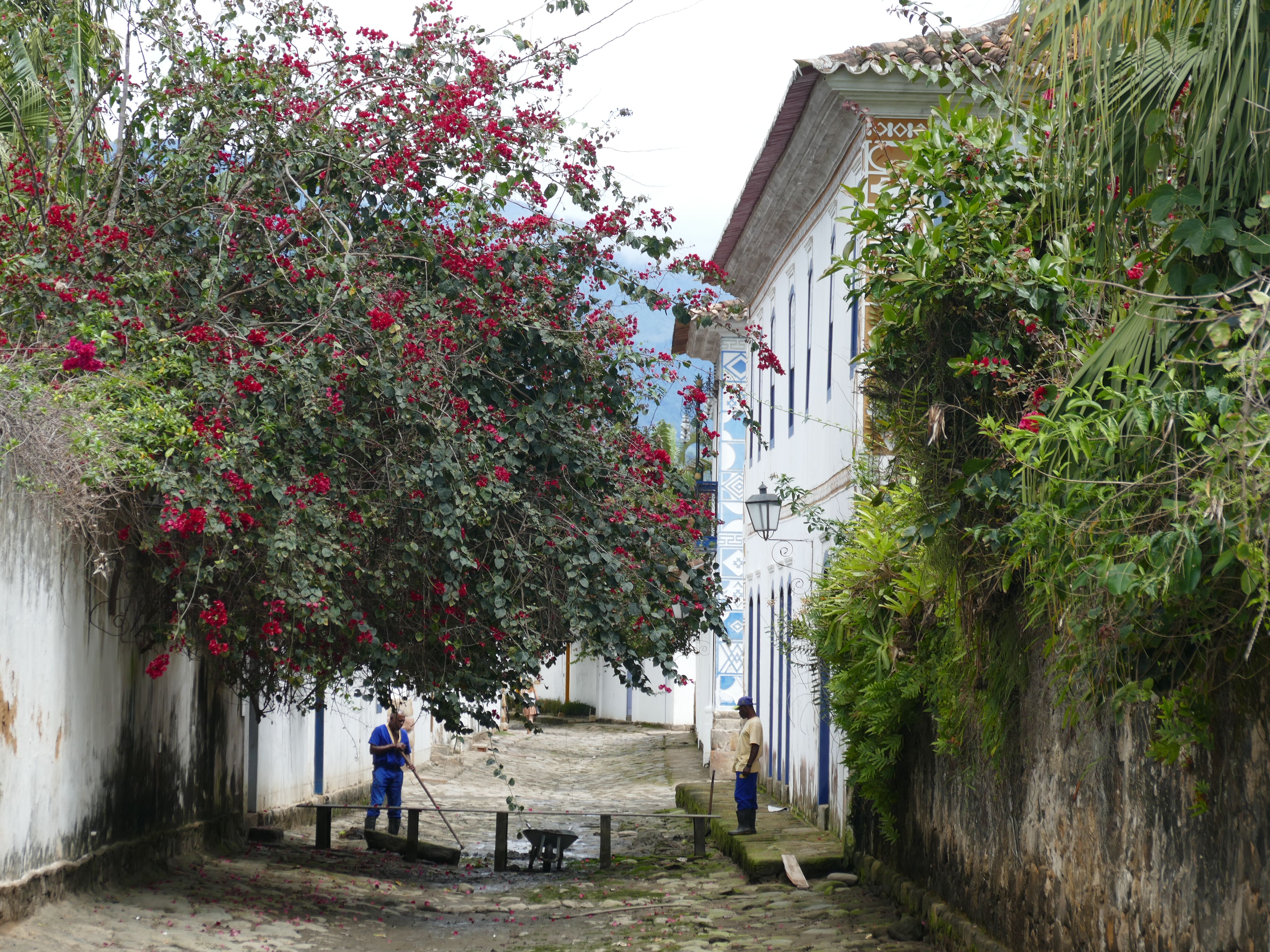 p1280868-parati_comp