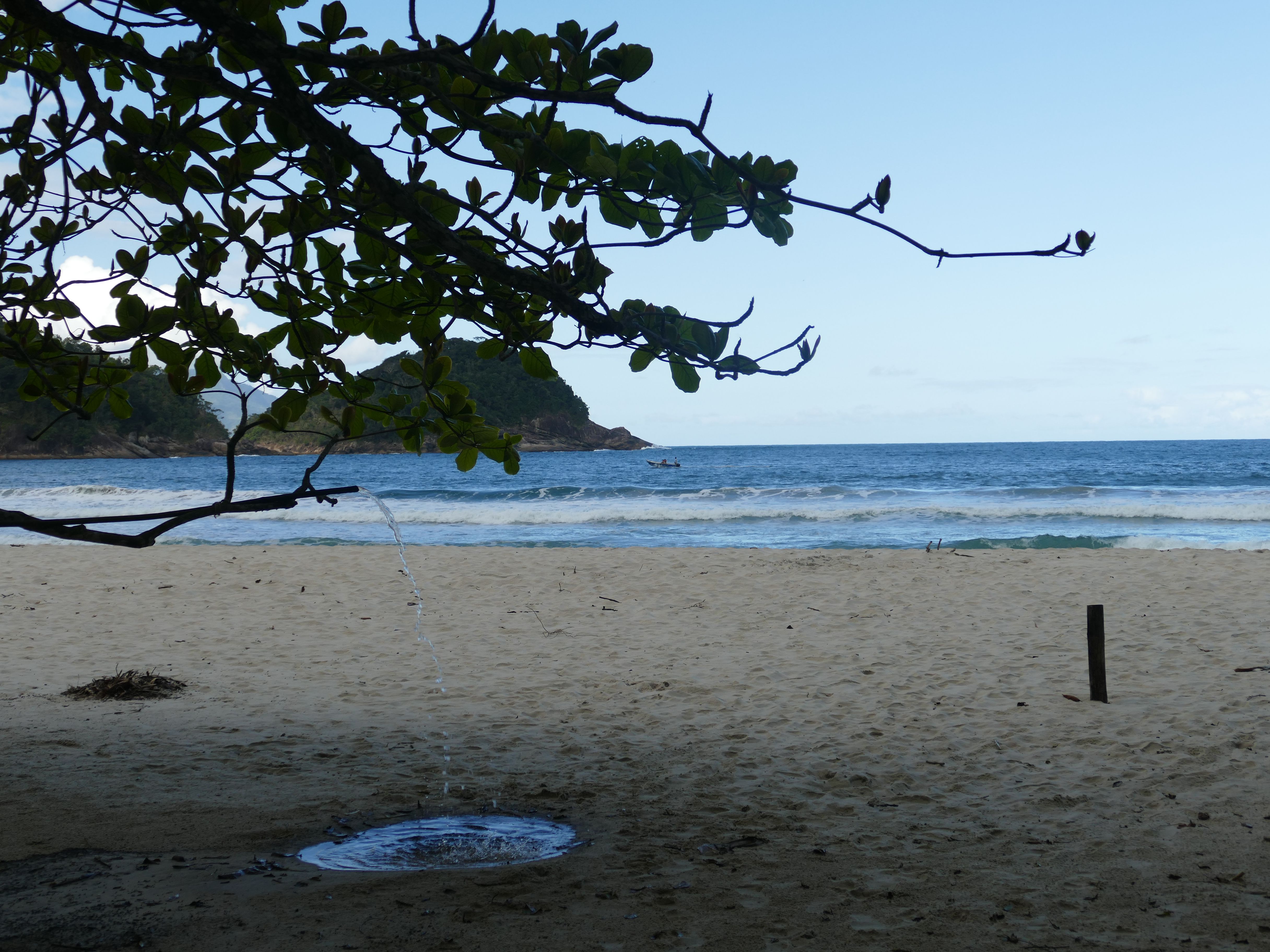 p1280930-trindade_comp