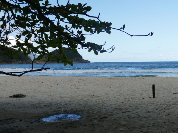 p1280930-trindade_comp