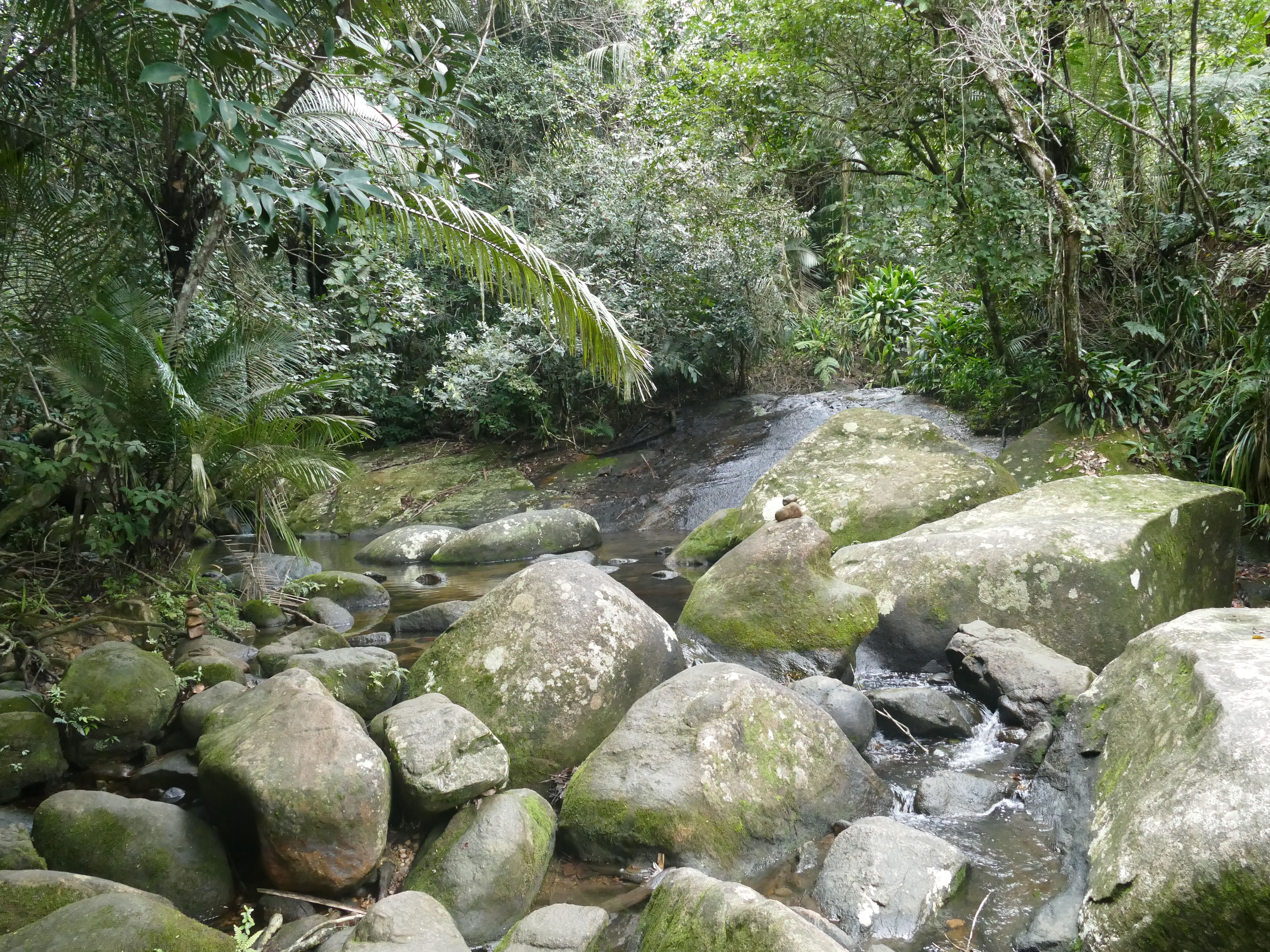 p1290076-trindade_comp