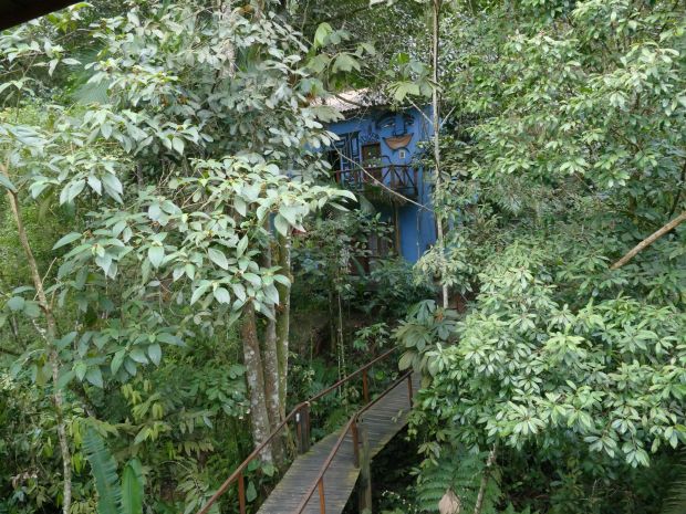 p1290245-trindade_comp