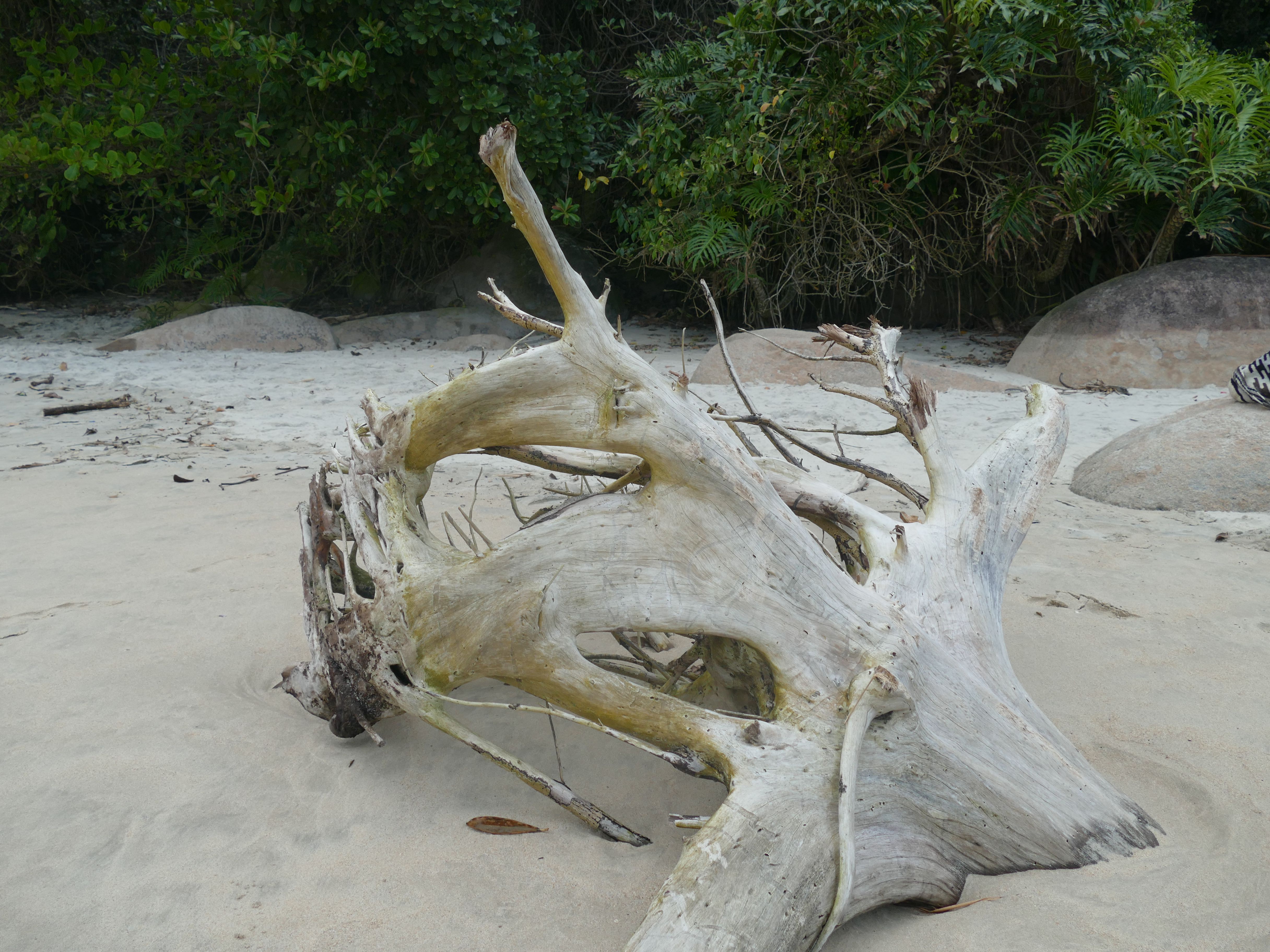 p1290312-trindade_comp