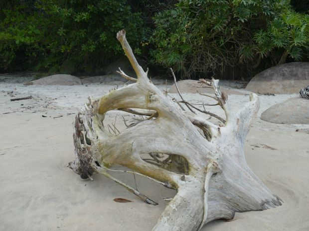 p1290312-trindade_comp