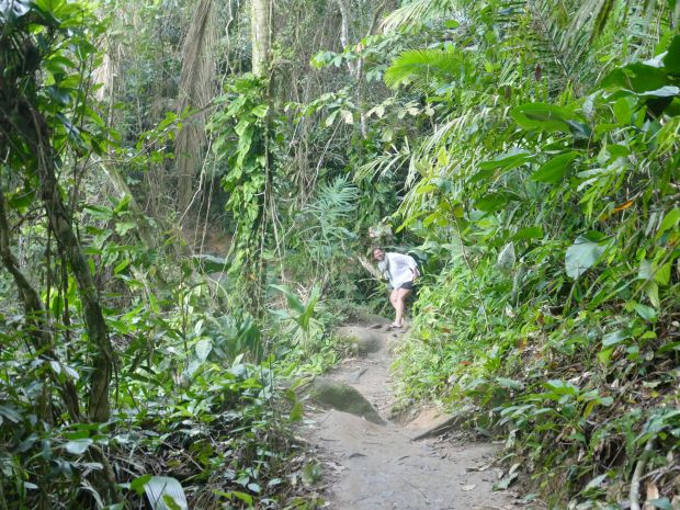 p1290315-trindade_comp